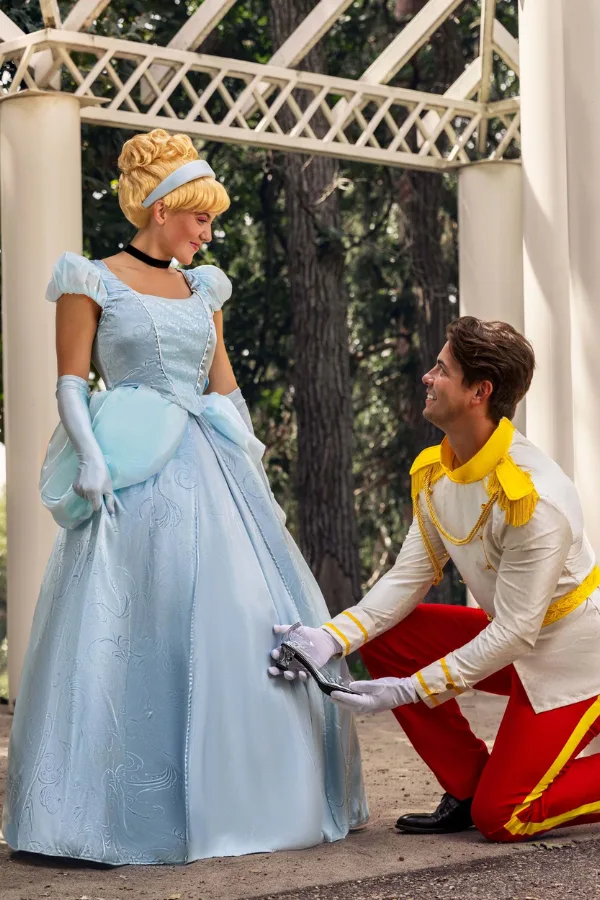 Cinderella & Prince Charming Couple Halloween Costume