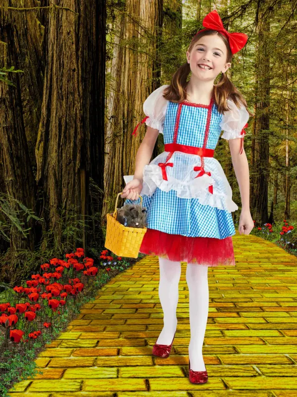 Dorothy from Wizard of Oz teen girl halloween Costume