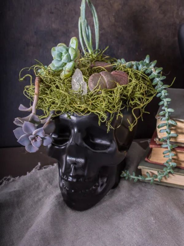 Halloween Skull Planters